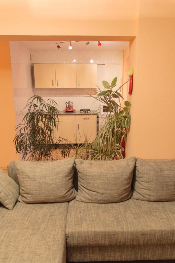 Kiev Central Apartment 公寓 *